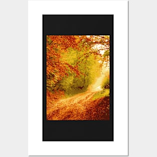 Dry Leaves Forest - Landscape Posters and Art